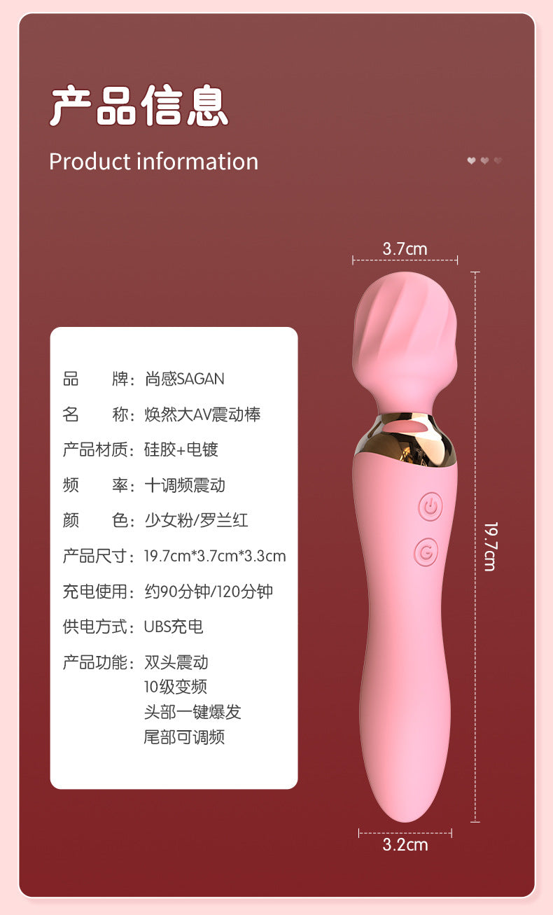 Silent charging second tide double-headed vibrator