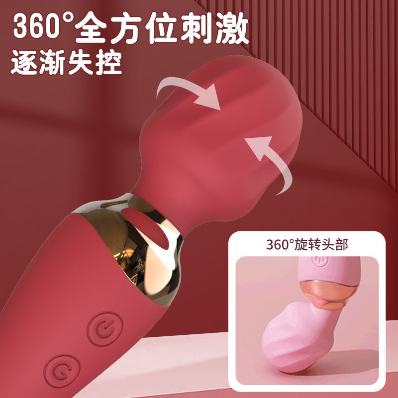 Silent charging second tide double-headed vibrator